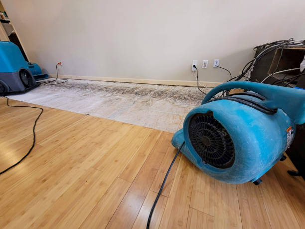 Professional Sewage Cleanup technician working in Camden, AR